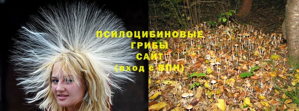 стафф Саяногорск