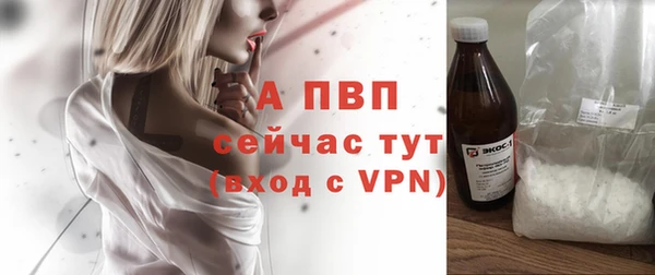винт Сатка