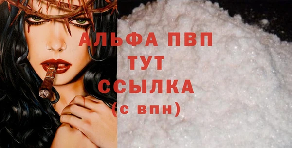винт Сатка